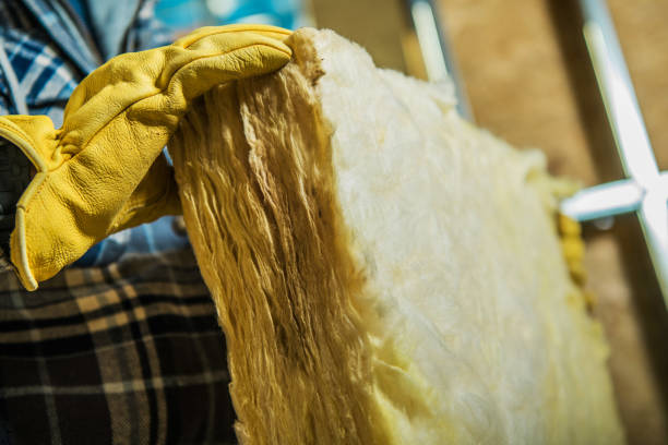 Best Spray Foam Insulation  in Bridgeview, IL