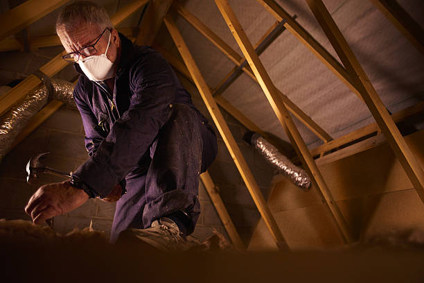 Best Soundproof Insulation Installation  in Bridgeview, IL