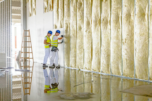 Best Wall Insulation Contractor  in Bridgeview, IL